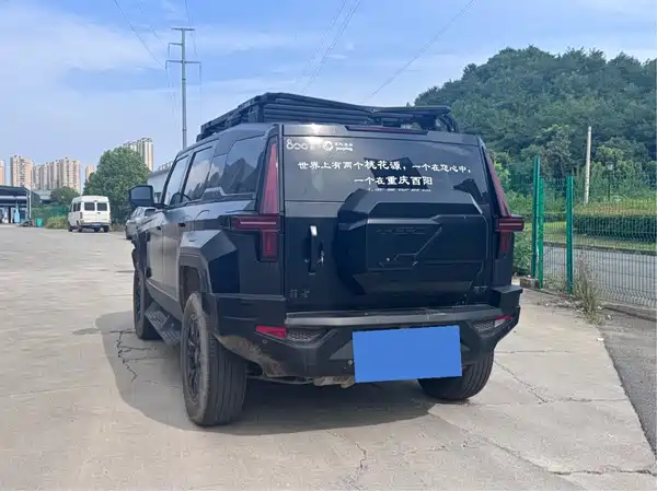 Mengshi 917 2024