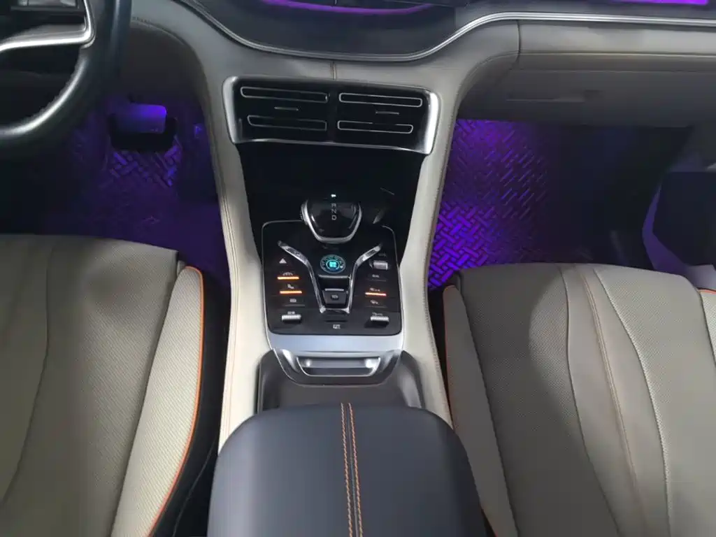BYD Song PLUS New Energy 2023 — фото 14