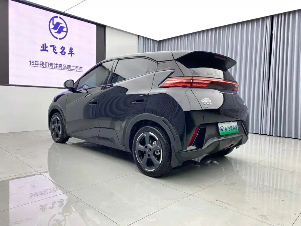 BYD Seagull 2024