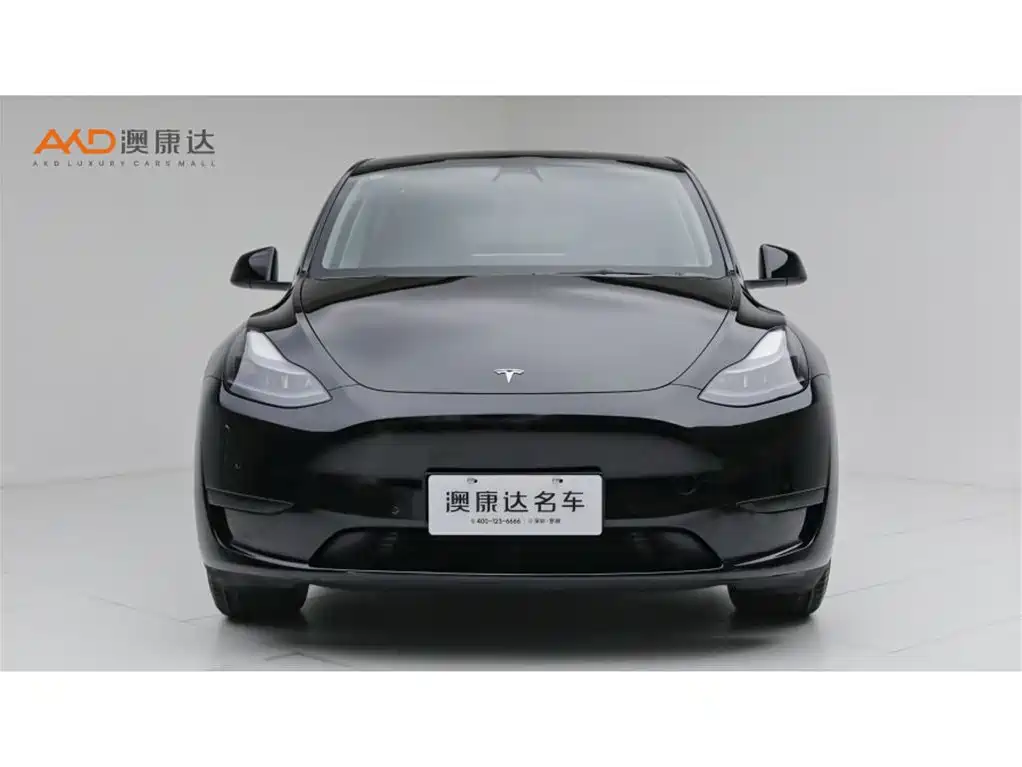 Tesla Model Y 2023 — фото 2