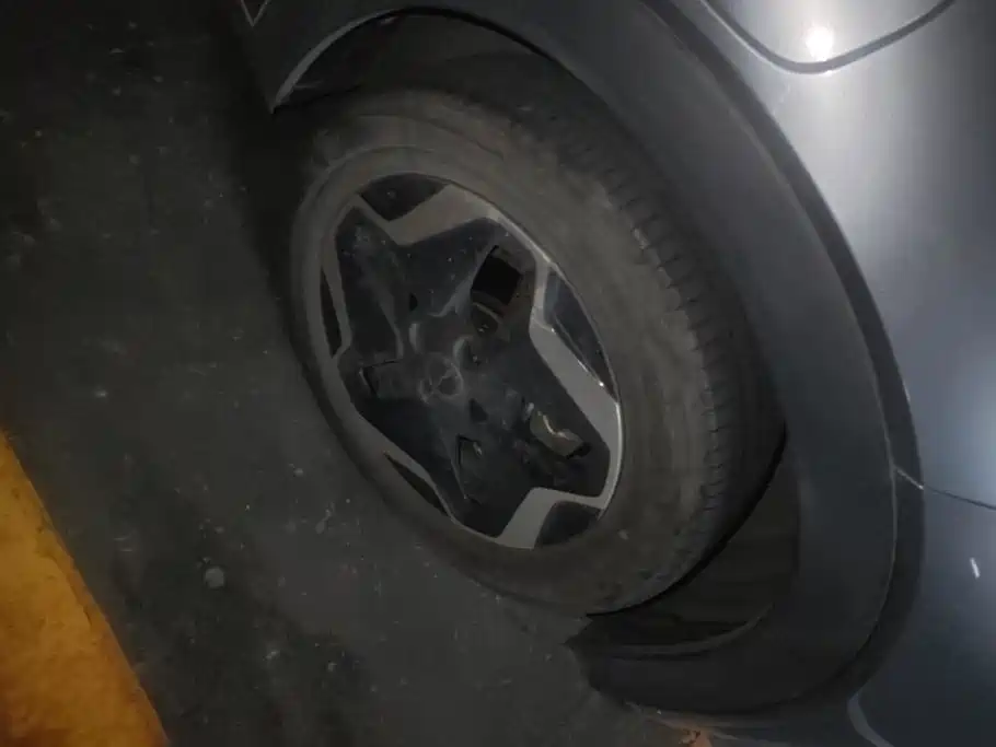 BYD Dolphin 2022