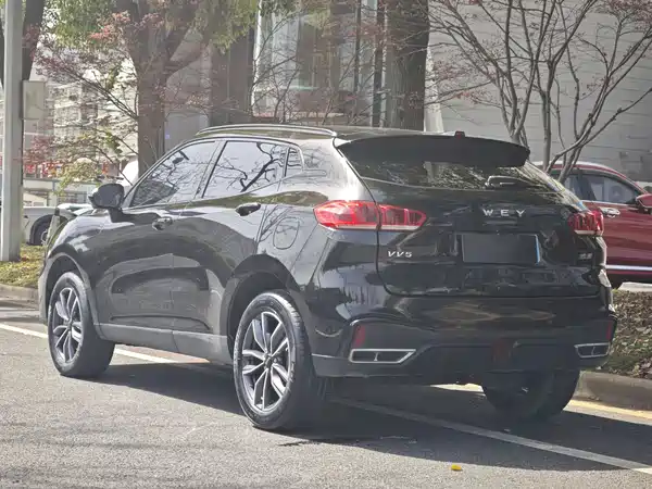 Wey VV5 2020