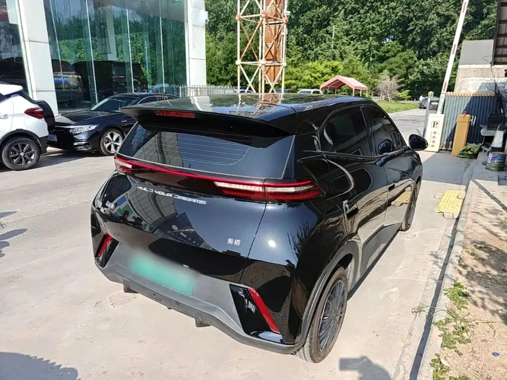 BYD Seagull 2024