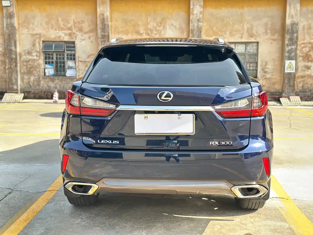 Lexus RX 2018 — фото 19