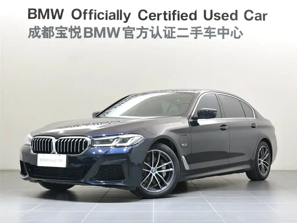 BMW 5 Series New Energy 2022