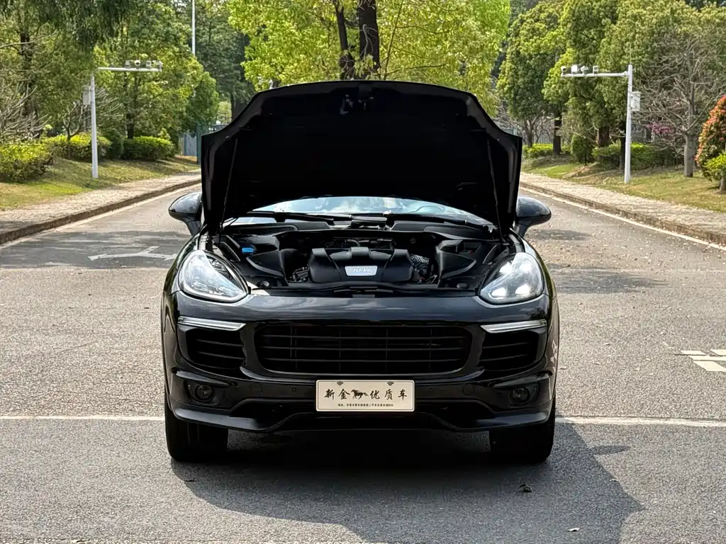 Porsche Cayenne 2015 — фото 12