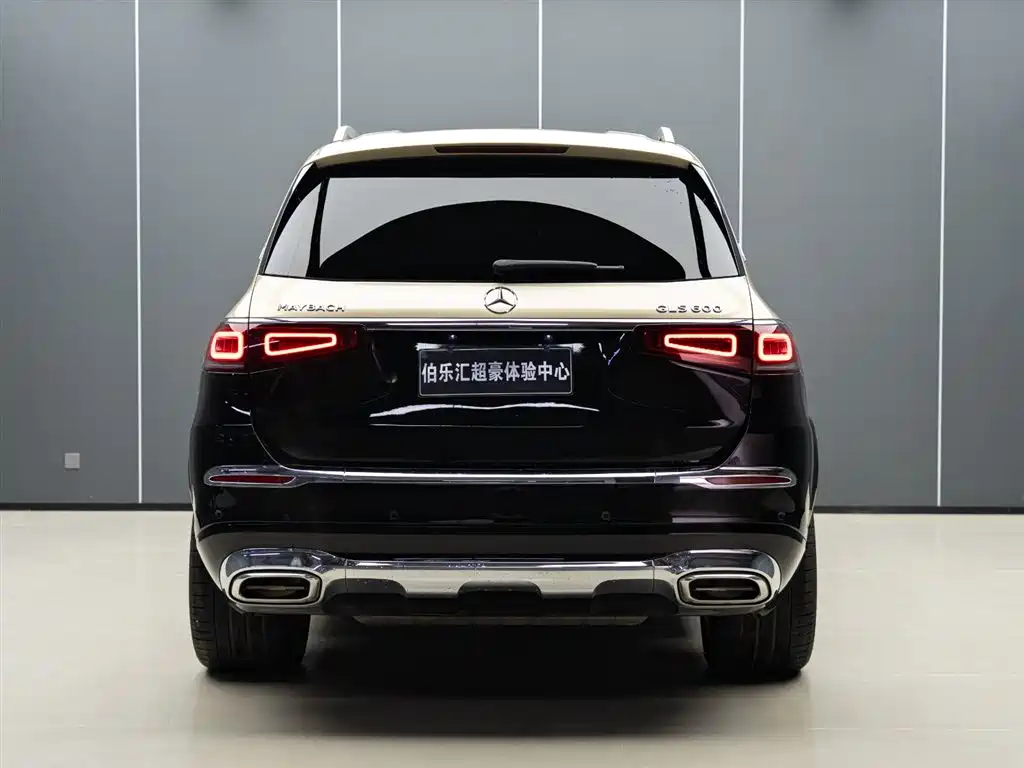 Mercedes-Benz GLS 2024 — фото 6