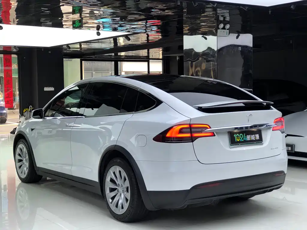 Tesla Model X 2019 — фото 5
