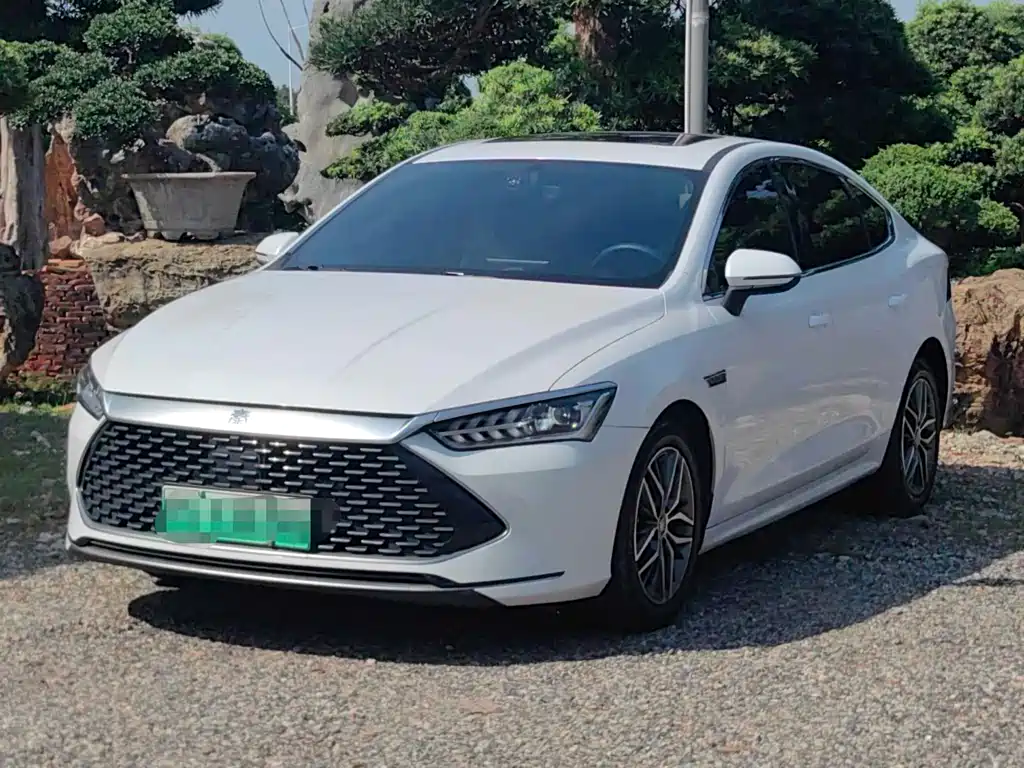 BYD Qin PLUS 2021 — фото 1