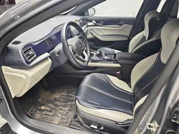 BYD Qin PLUS 2022