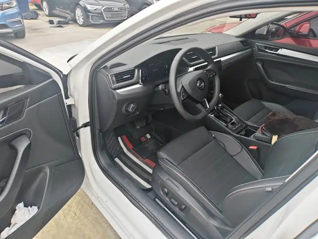 Skoda Speedy 2024 — фото 16