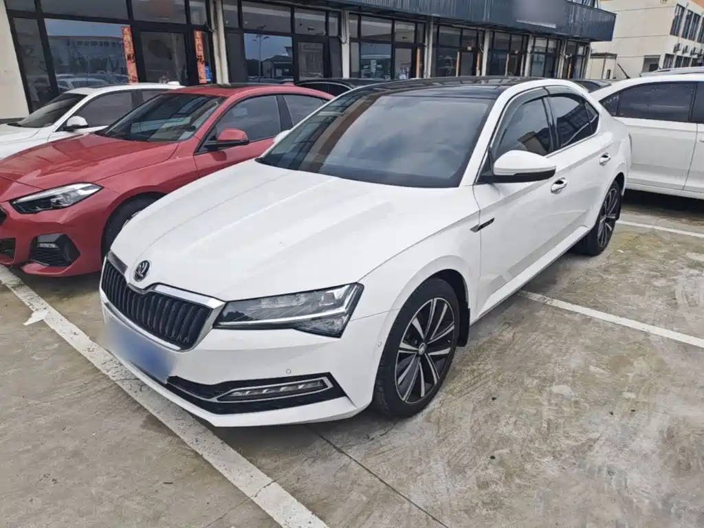 Skoda Speedy 2024