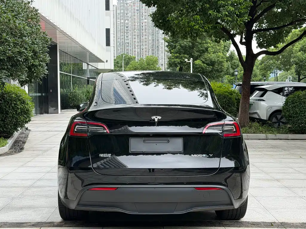 Tesla Model Y 2021 — фото 6