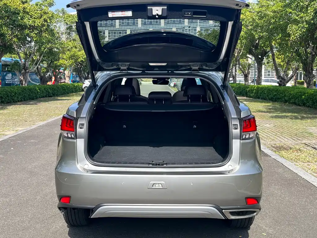 Lexus RX 2020 — фото 11