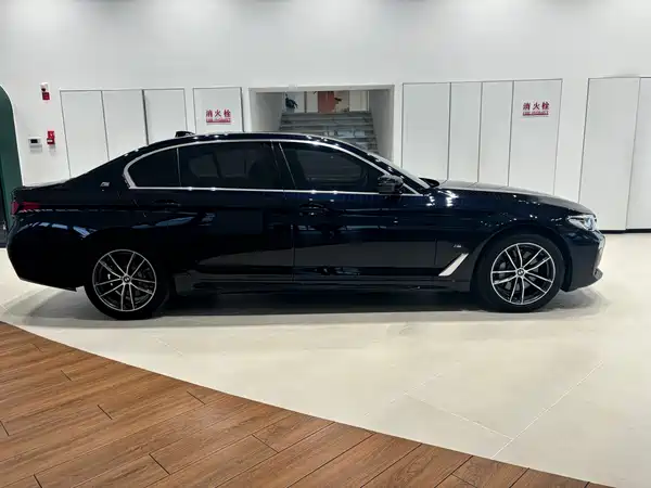 BMW 5 Series New Energy 2021