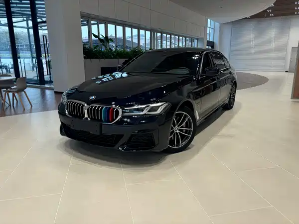BMW 5 Series New Energy 2021