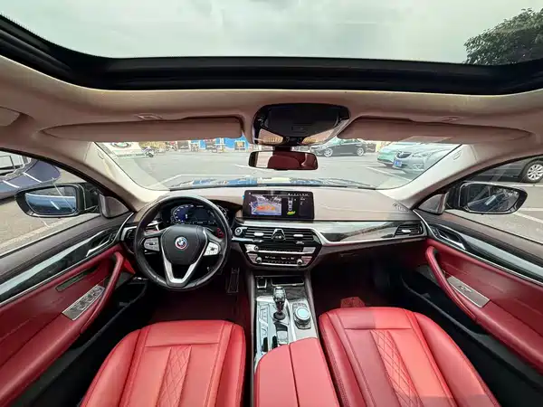BMW 5 Series New Energy 2021