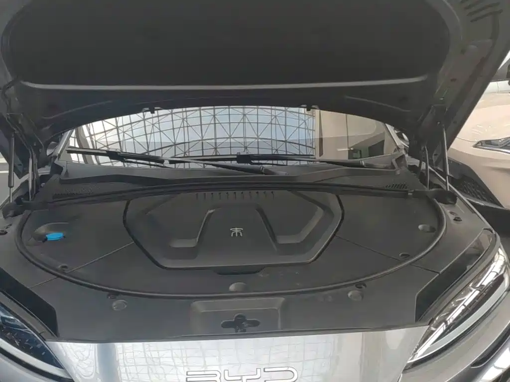 BYD Song PLUS New Energy 2024 — фото 16