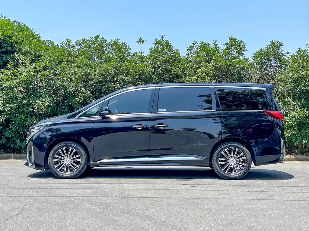 GAC Motor Trumpchi M8 2023 — фото 6