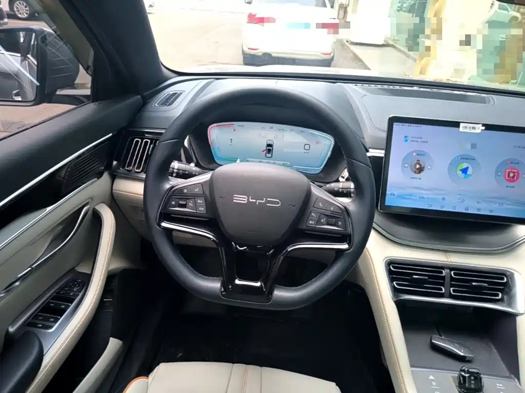 BYD Song PLUS New Energy 2024 — фото 11