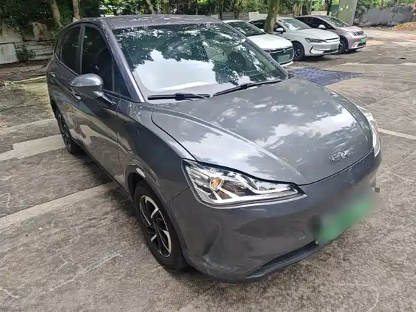 Neta V 2021