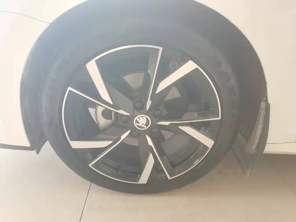 Skoda Octavia 2023 — фото 22