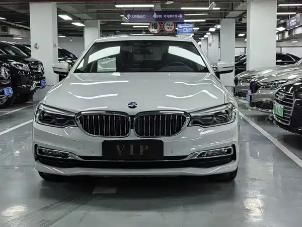 BMW 5 Series New Energy 2018
