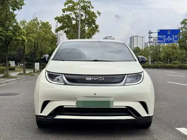 BYD Dolphin 2023
