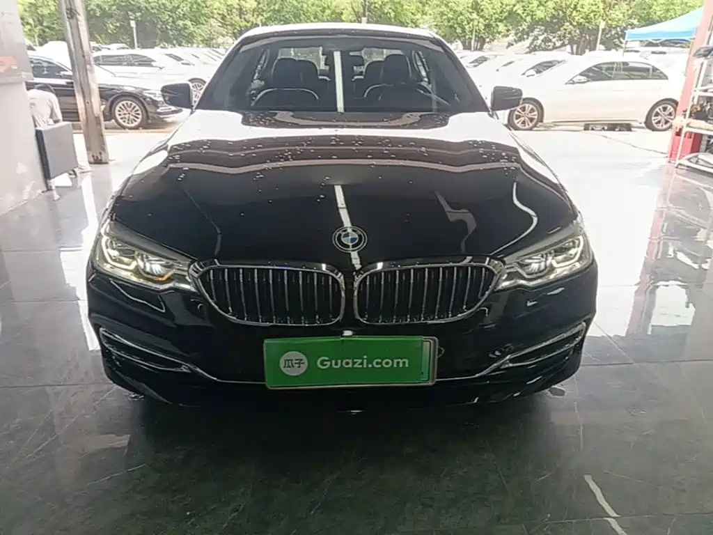 BMW 5 Series New Energy 2019