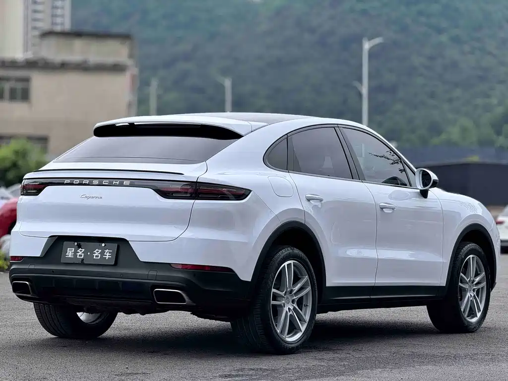 Porsche Cayenne 2020 — фото 11