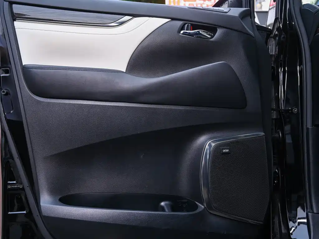 Lexus LM 2020 — фото 18