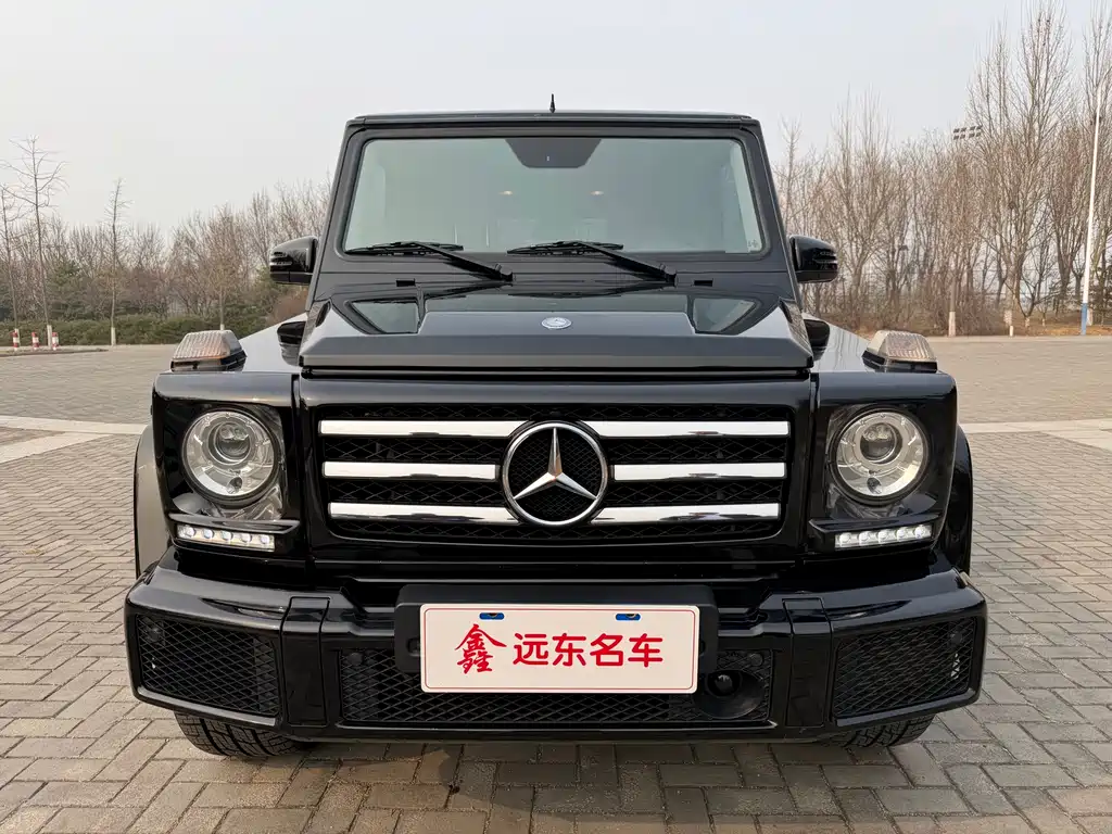 Mercedes-Benz G-Class 2016 — фото 2