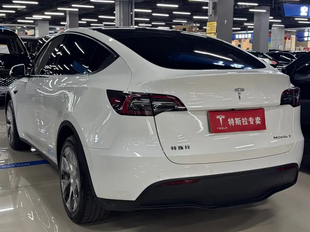Tesla Model Y 2023 — фото 7