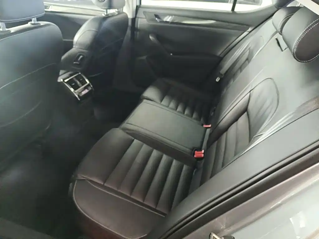 Skoda Speedy 2017 — фото 17
