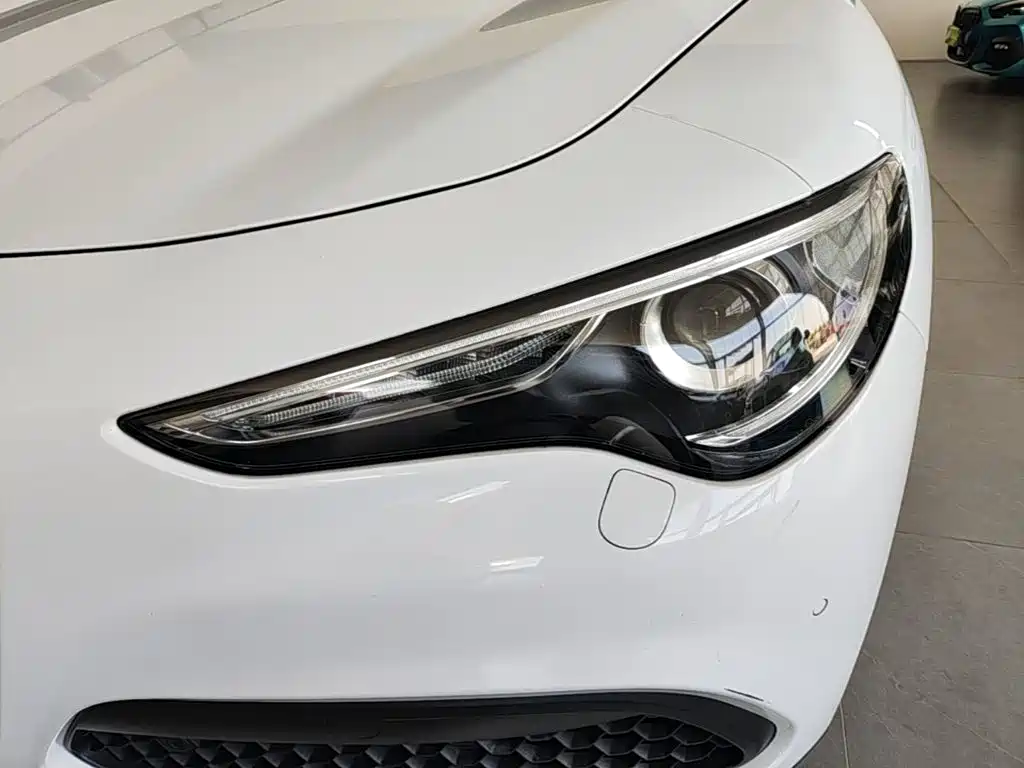 Alfa Romeo Stelvio 2019 — фото 24