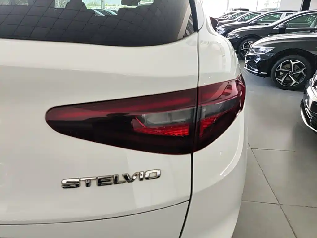 Alfa Romeo Stelvio 2019 — фото 8