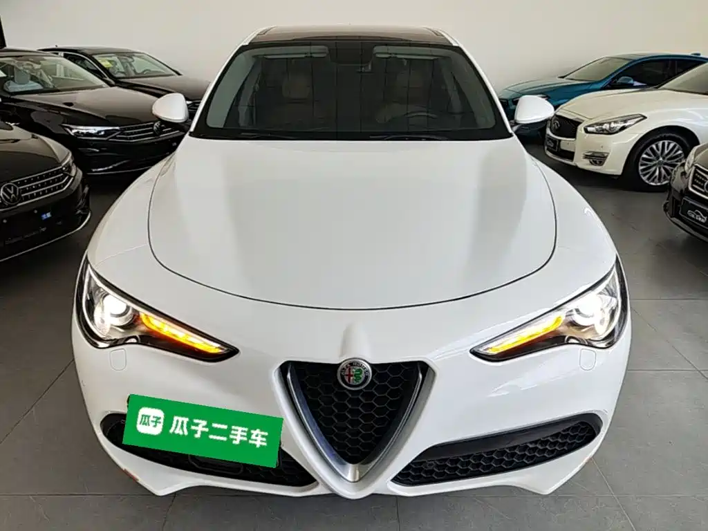 Alfa Romeo Stelvio 2019 — фото 3
