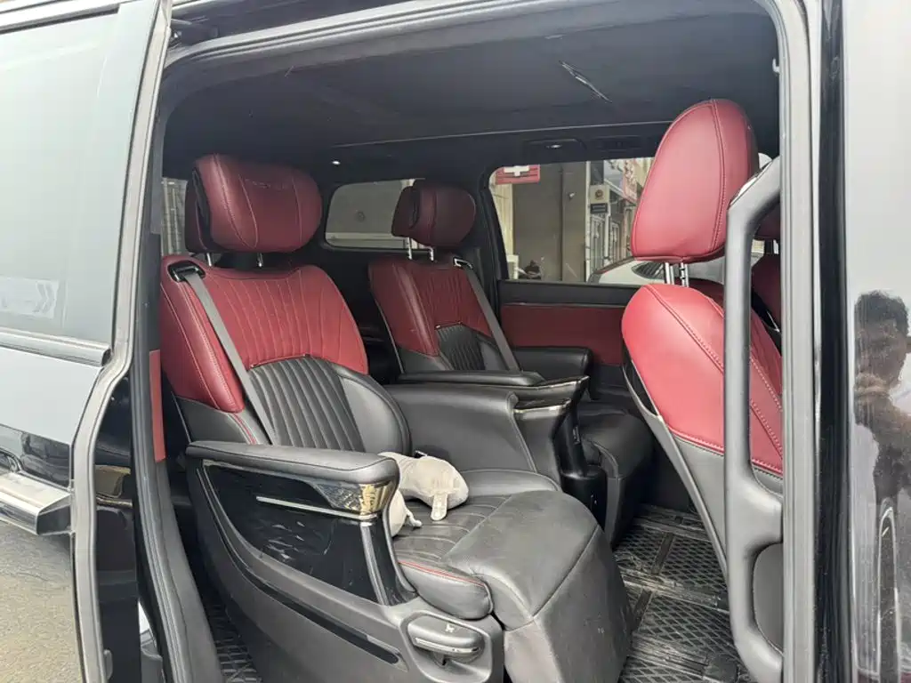GAC Motor Trumpchi M8 2023 — фото 12