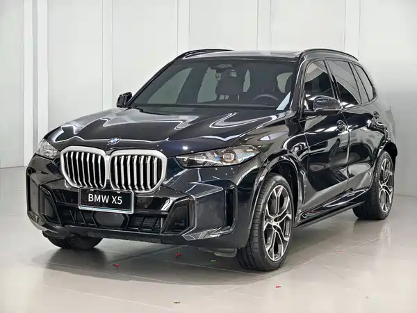 BMW X5 2024