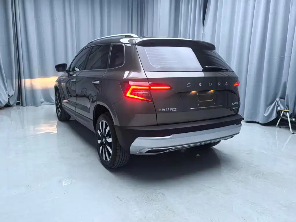 Skoda Karoq 2020 — фото 4