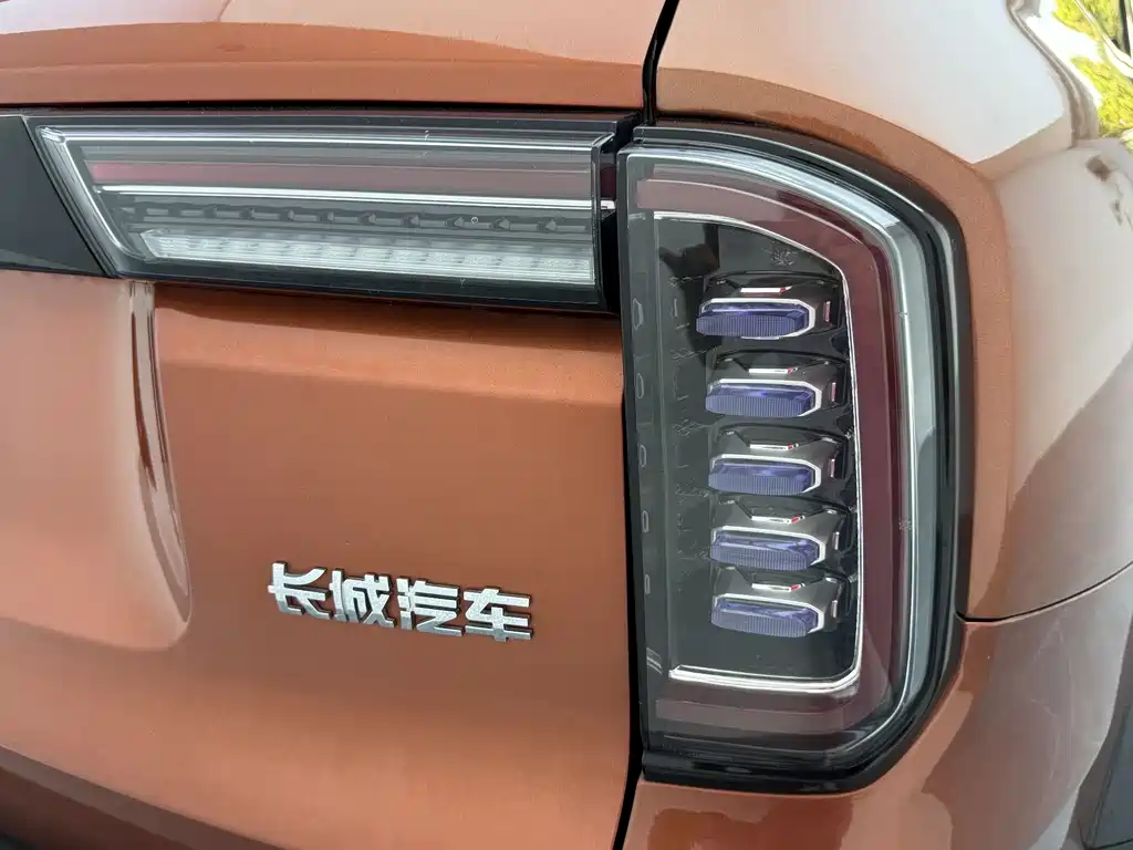 Haval Big Dog 2021 — фото 11