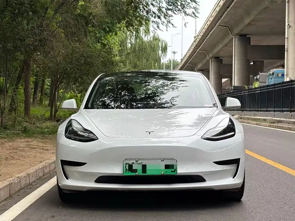 Tesla Model 3 2020 — фото 2