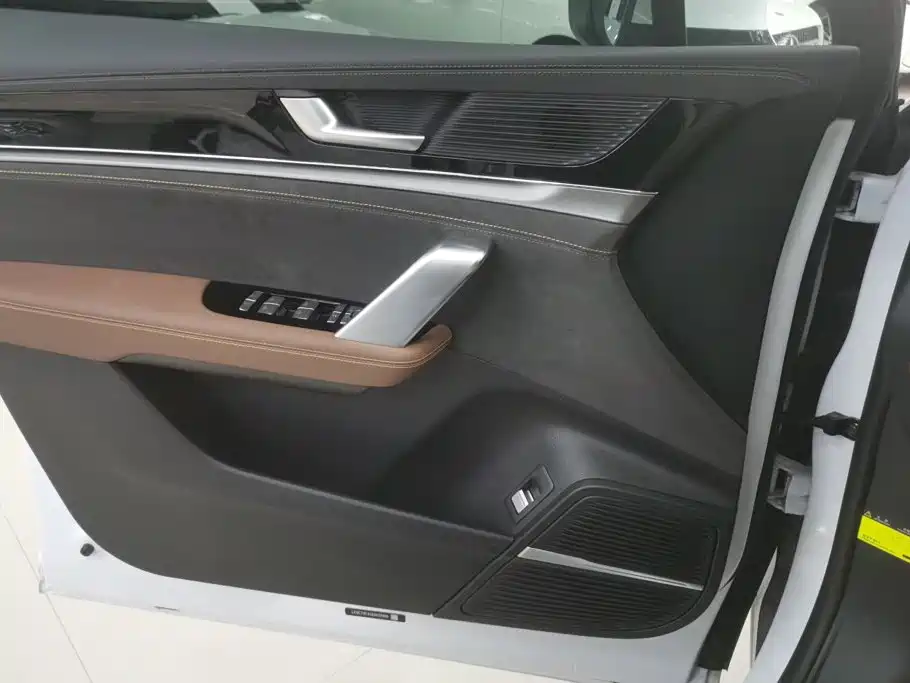 BYD Tang New Energy 2024