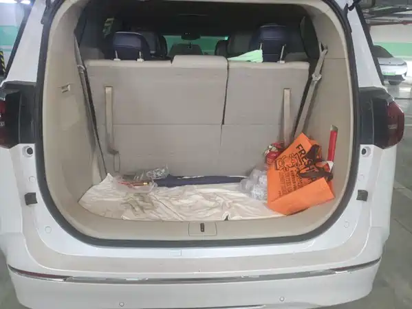 Buick GL8 2021
