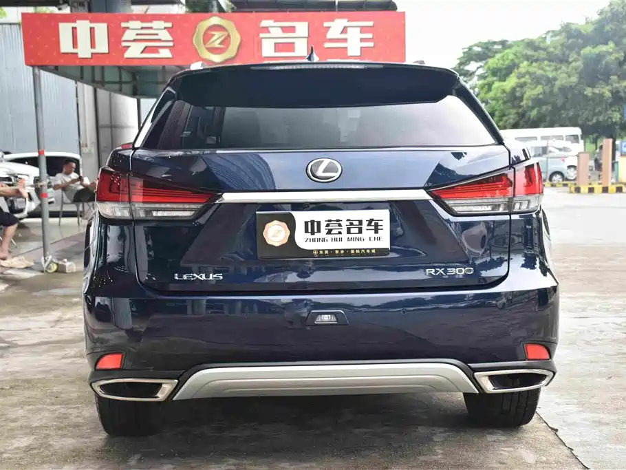 Lexus RX 2020 — фото 15