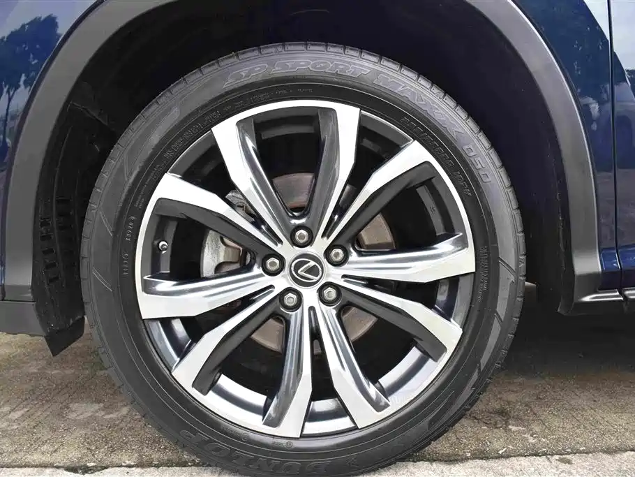 Lexus RX 2020 — фото 19