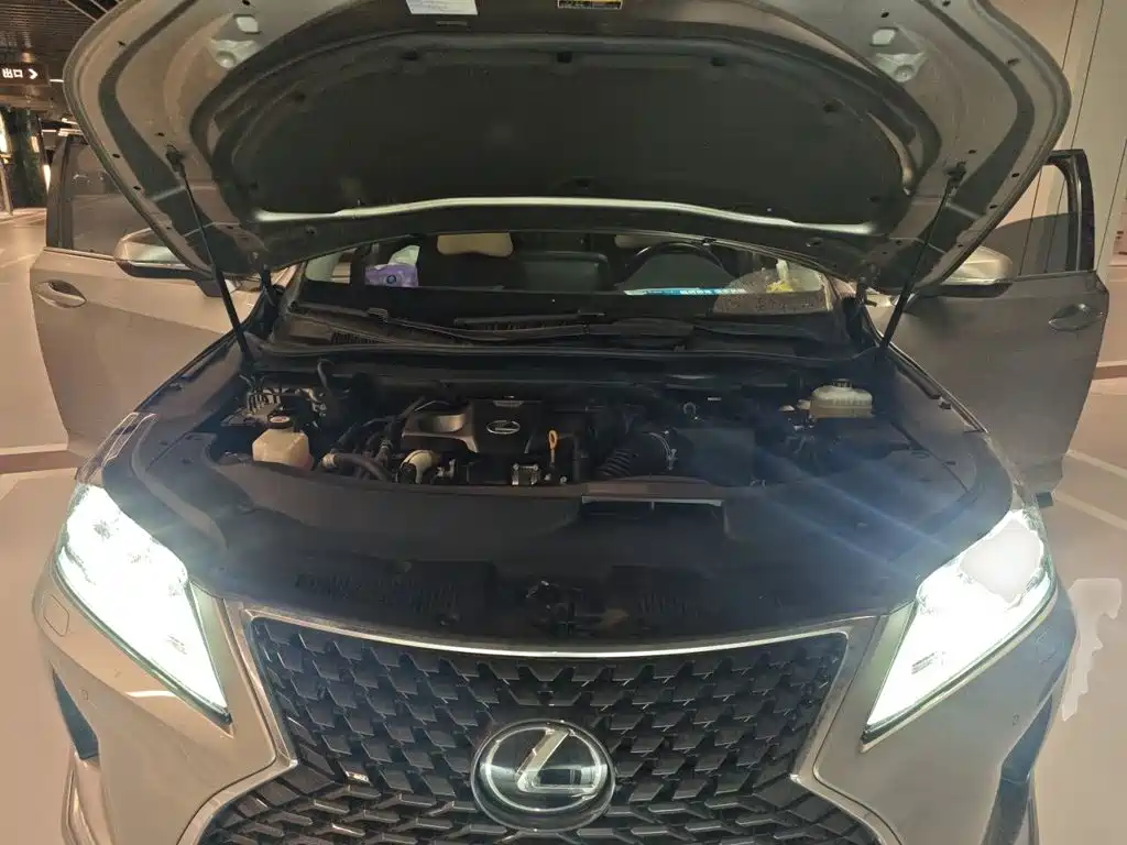Lexus RX 2019 — фото 16