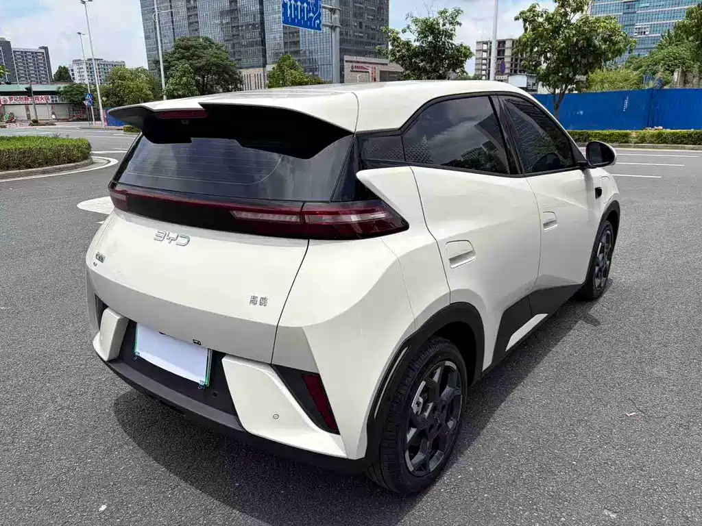 BYD Seagull 2025