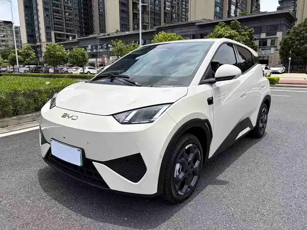 BYD Seagull 2025