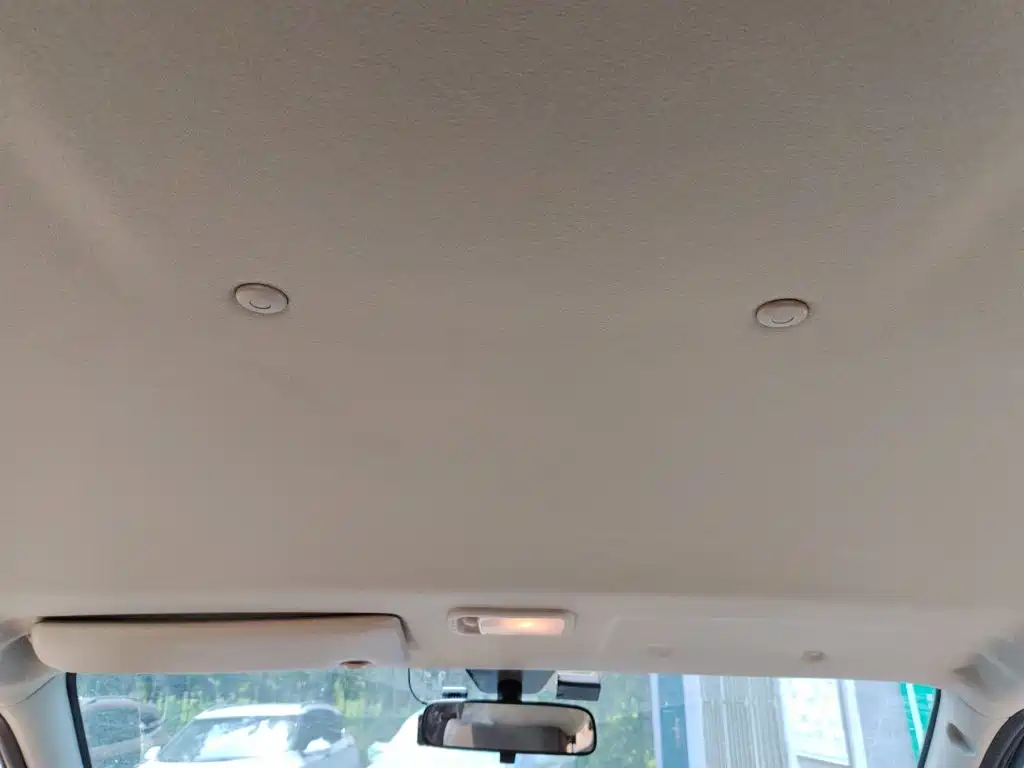 Fengxing Lingzhi 2026 — фото 9